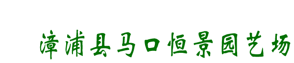 漳浦县马口恒景园艺场-霸王棕
